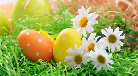 Variety of colorful Easter eggs on grassの写真素材