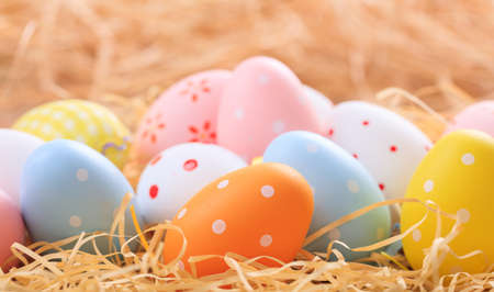 Colorful pastel Easter eggs on straw backgroundの写真素材