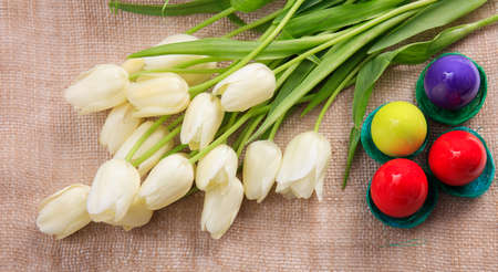 Colorful Easter eggs and white tulips on a burlapの写真素材