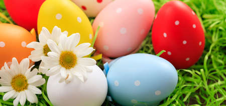 Variety of colorful Easter eggs on grassの写真素材