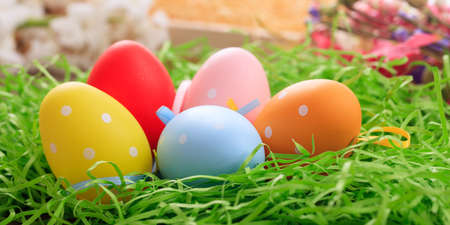 Variety of colorful Easter eggs on grassの写真素材