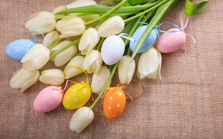 Colorful Easter eggs and white tulips on a burlapの写真素材