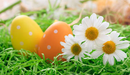 Variety of colorful Easter eggs on grassの写真素材