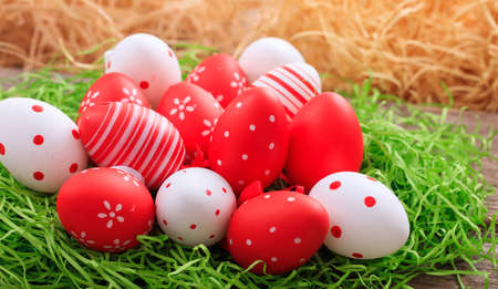 Red and white Easter eggs on grassの写真素材