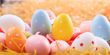 Colorful pastel Easter eggs on straw backgroundの写真素材