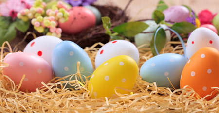 Colorful pastel Easter eggs on straw backgroundの写真素材