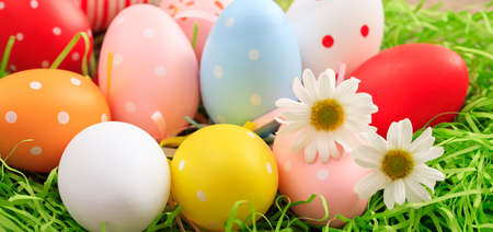Variety of colorful Easter eggs on grassの写真素材