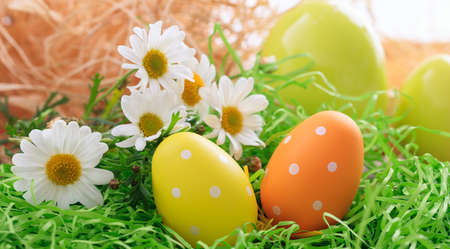 Variety of colorful Easter eggs on grassの写真素材