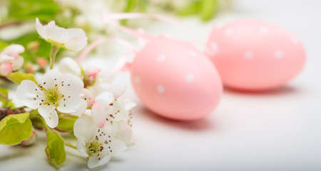 Easter eggs and almond flowers on white backgroundの写真素材