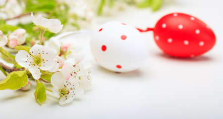 Easter eggs and almond flowers on white backgroundの写真素材