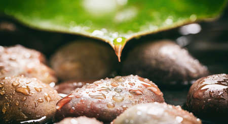 Pebbles in water background, spa concept