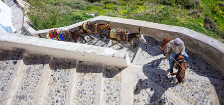 Santorini island, Greece - Donkeys on Fira cobbled roadsの写真素材