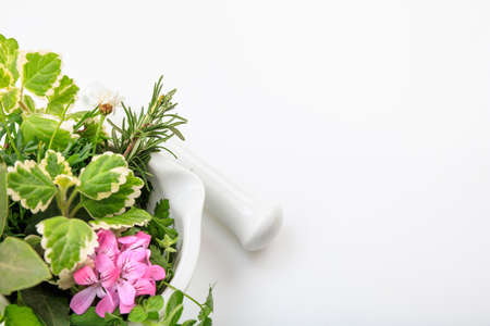 Herbs in a mortar - detail - on white background