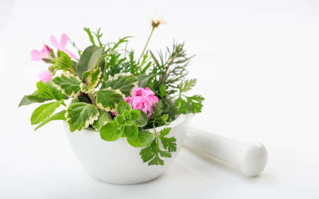 Herbs in a mortar isolated on white background