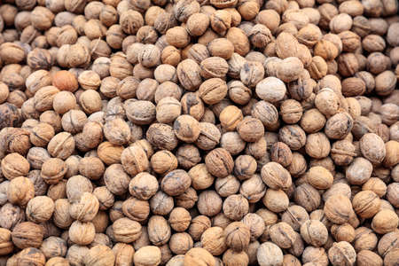 Walnuts in shell full background - top viewの写真素材