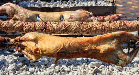 Grilling whole lambs and kokorec outdoor on coals fireの写真素材