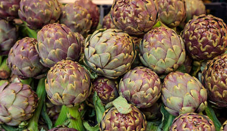 Pile of Italian fresh artichokes - full backgroundの写真素材
