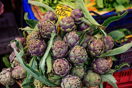 Pile of Italian fresh artichokes for sale in the marketの写真素材