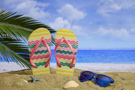 Summer vacations - Flip flops on a sandy beachの写真素材