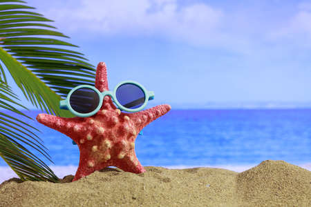 Summer vacations - Starfish on a sandy beach - copy space