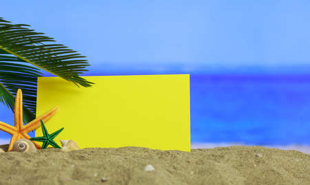 Summer vacations concept - Starfishes on a sandy beach - copy spaceの写真素材