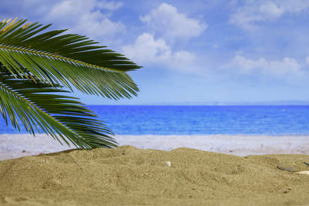 Summer vacations concept - Sandy beach on blurry sea backgroundの写真素材
