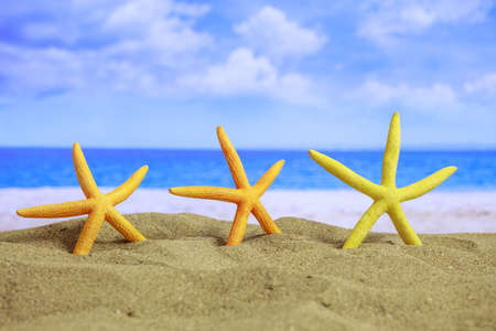 Summer vacations concept - Starfishes on a sandy beach