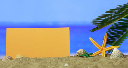 Summer vacations concept - Starfishes on a sandy beach - copy spaceの写真素材