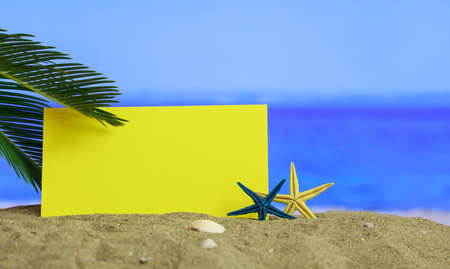 Summer vacations concept - Starfishes on a sandy beach - copy spaceの写真素材