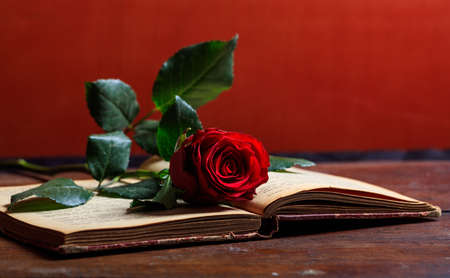 Vintage book and rose on a wooden desk - copy space
