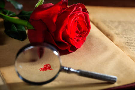 Magnifying glass and red rose on a vintage bookの写真素材