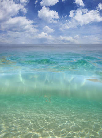 Above and below the seawater surface shotの写真素材