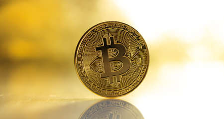 Cryptocurrency concept. Single golden bitcoin and reflectionの写真素材