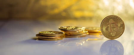 Cryptocurrency concept. Golden bitcoins and reflectionsの写真素材