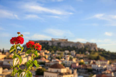 Athens, Greece. Red flower closeup on Acropolis and Monastiraki abstract background, at afternoonの写真素材