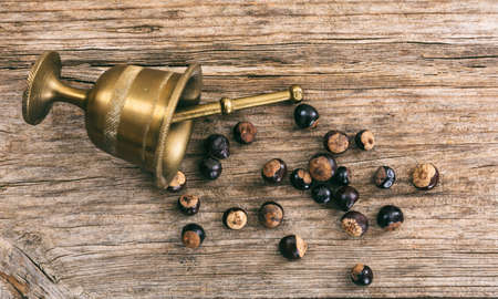 Guarana beans and a brass mortar on wooden background, top viewの写真素材
