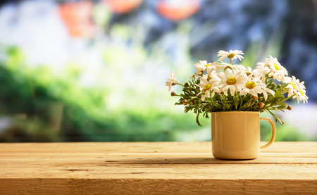 Springtime, Daisies on wooden table, blur nature background, space for text, bannerの写真素材