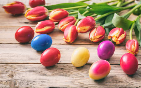 Springtime. Easter eggs and fresh tulips on wooden background, copy space