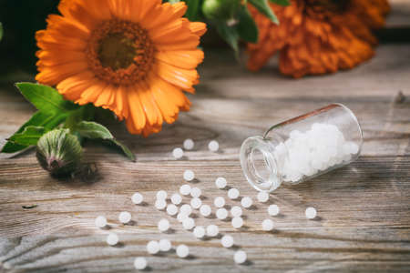 Calendula alternative medicine. Fresh blooming calendula, pot marigold and white homeopathy pills on...