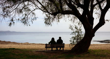 Couple sitting on a bench, looking at the sea, under a big treeの写真素材