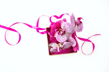 Orchid pink flowers and a small beige gift box with a satin ribbon isolated on a white backgroundの写真素材