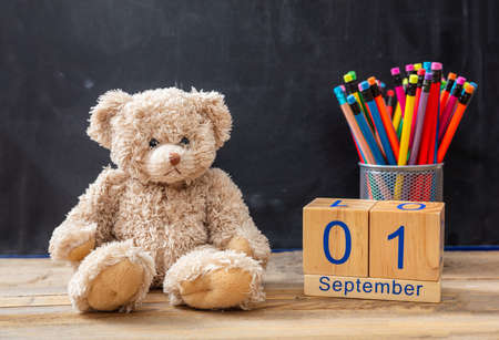 Back to school. September 1st date, teddy bear and colorful pencils on blackboard backgroundの写真素材