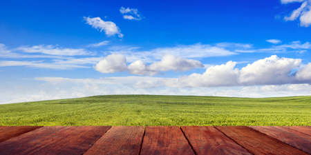 Wooden planks deck on blue sky and green field background, copy space. 3d illustrationの写真素材