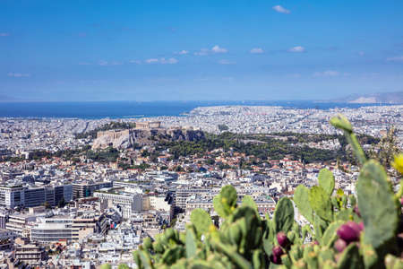 Panoramic aerial view of Acropolis of the city of Athens  in Greece with blurry prickly pear cactus in the foreground, view from Lycabettus hill.の写真素材
