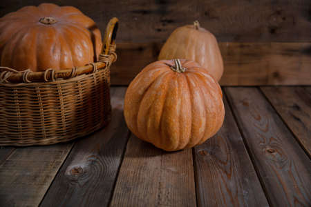 Thanksgiving concept. Colorful pumpkins on rustic wooden background, copy space