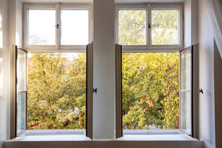 Fall, autumn season. Trees with yellow leaves out of two open white wooden windowsの写真素材