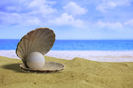 Pearl in an oyster shell on a sandy beach, copy space. 3d illustration
