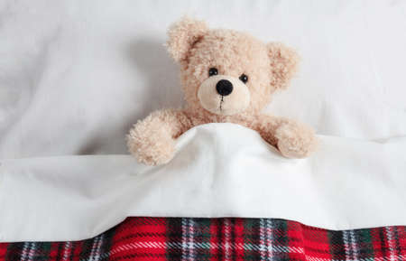 Kids bedtime. Cute teddy covered with a warm blanket, resting in bedの写真素材