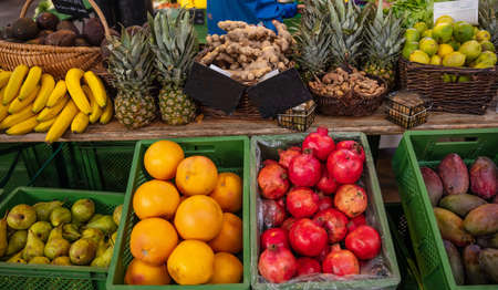 Colorful display of various fruits in a local market in Berlin Germany, wallpaperの写真素材