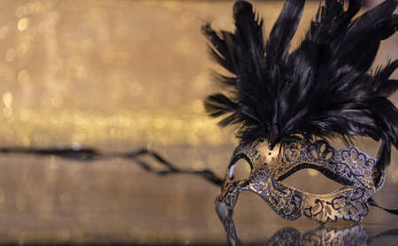 Carnival time. Venetian mask with feathers on golden bokeh background, reflections, copy spaceの写真素材